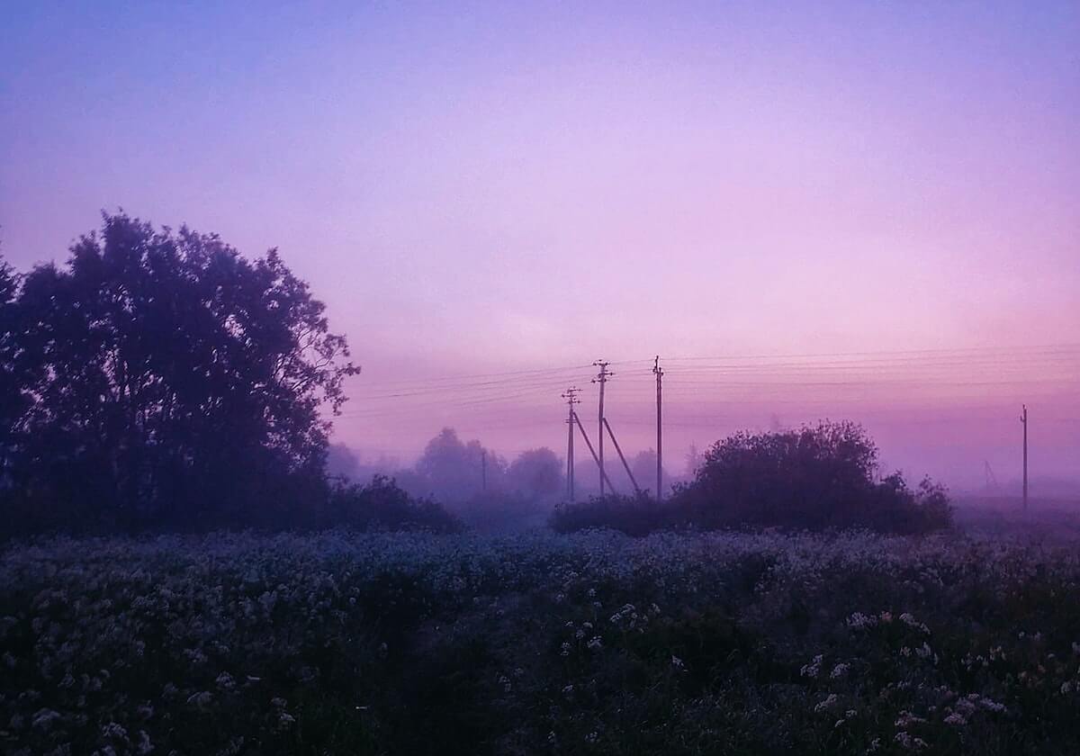 广发体育app-申花董事长：今年压力有些早 有些大，这是申花重生的代价